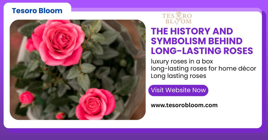 History and Symbolism of Long-Lasting Roses