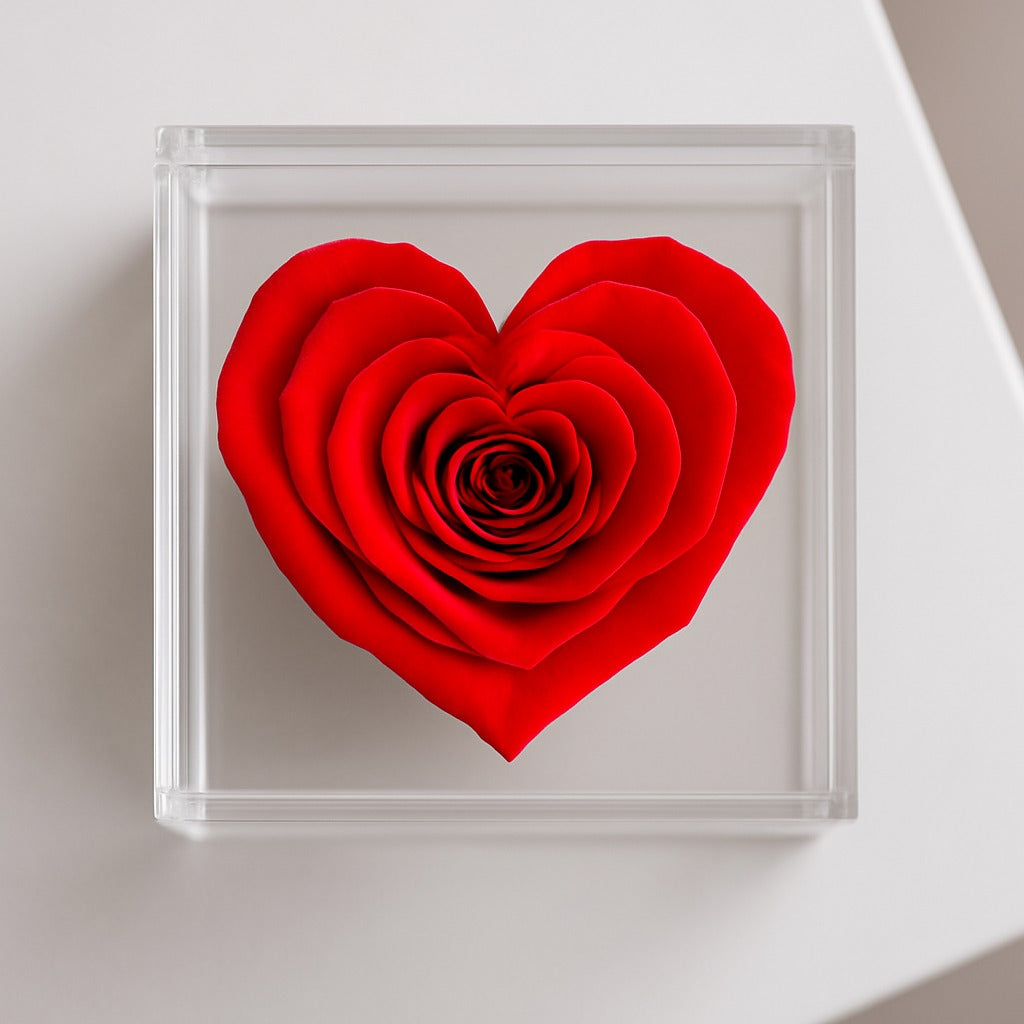 Preserved Roses in Acrylic Box – Tesoro Bloom NYC