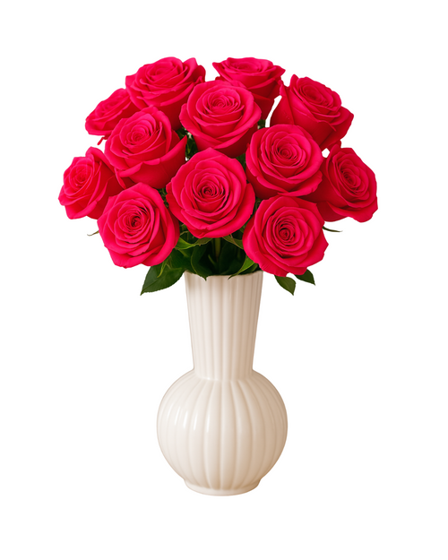 12 Stem Elegant Pink Preserved Roses in White Ceramic Vase | Tesoro Bloom