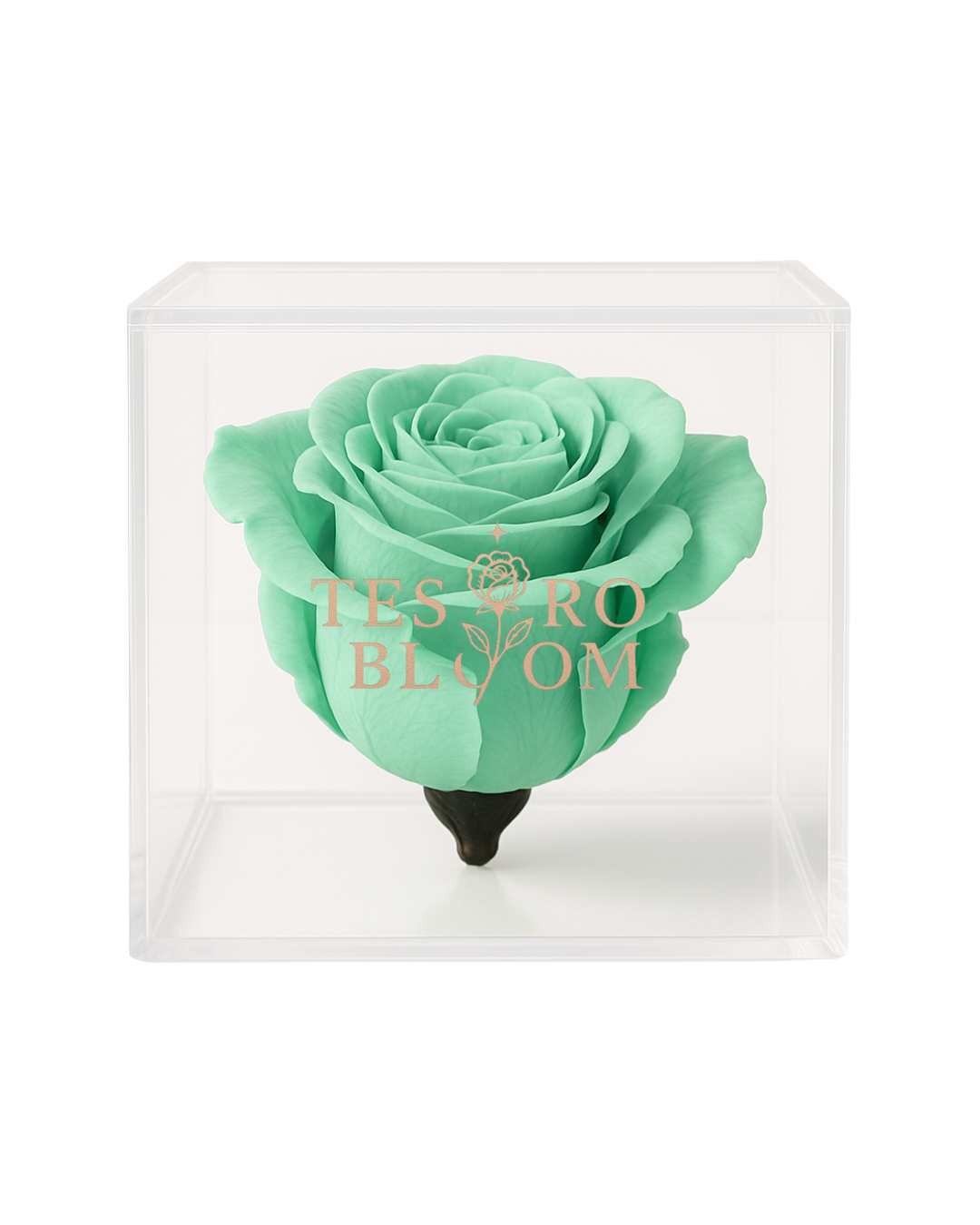 Green rose in Tesoro Bloom Vase