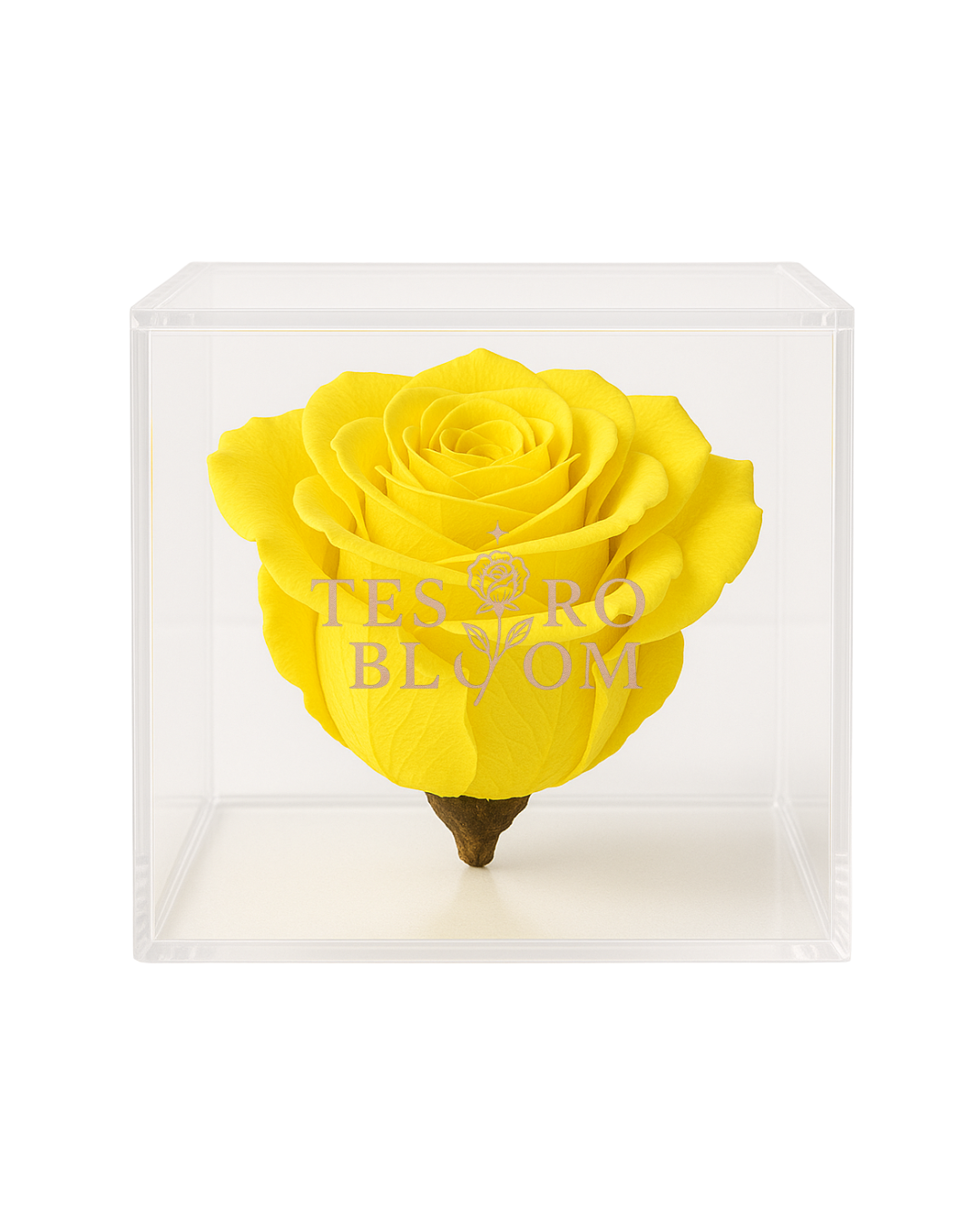 yellow rose