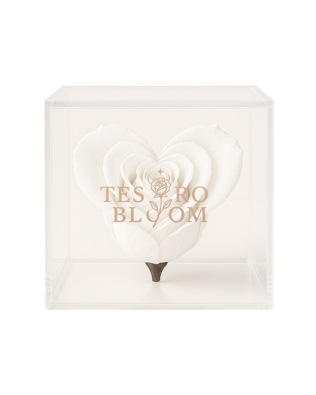 white rose in Tesoro Bloom Vase
