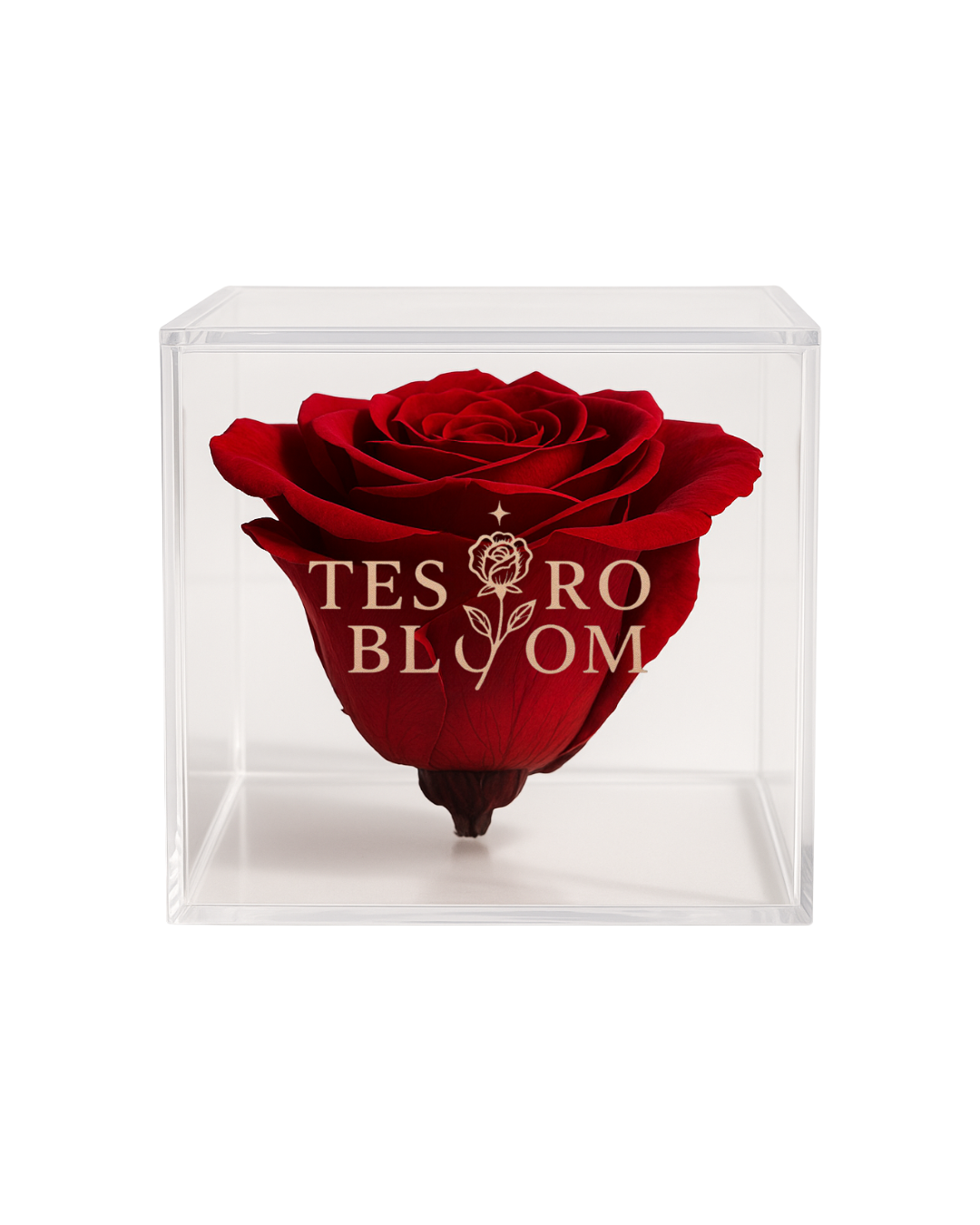 red rose vase by Tesoro Bloom