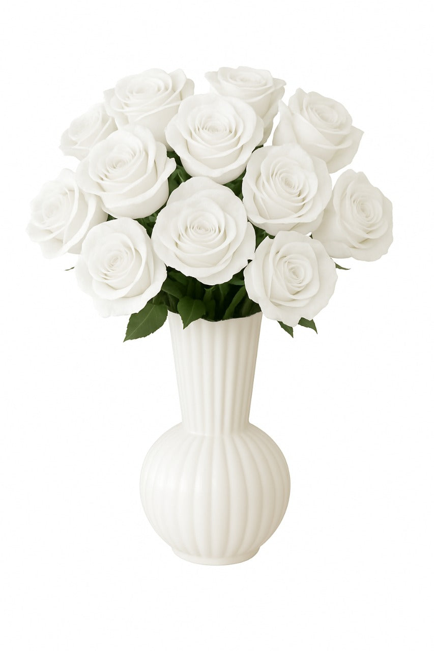 Classic White Preserved Rose Arrangement in Elegant Vase | Tesoro Bloom